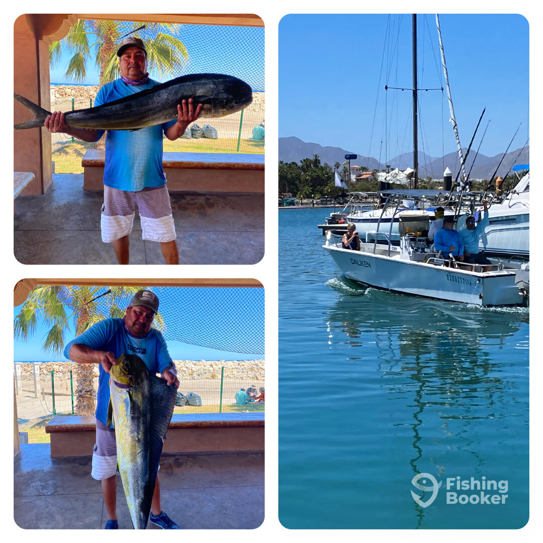 San Jose del Cabo Report Photo 0