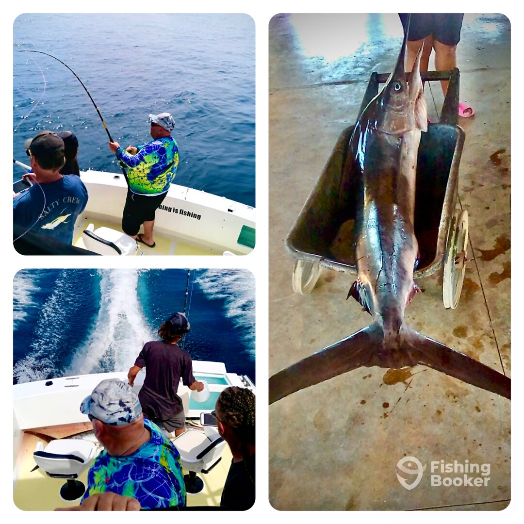 San Jose del Cabo Report Photo 0