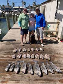 Limits of Sheepshead + Black Drum
