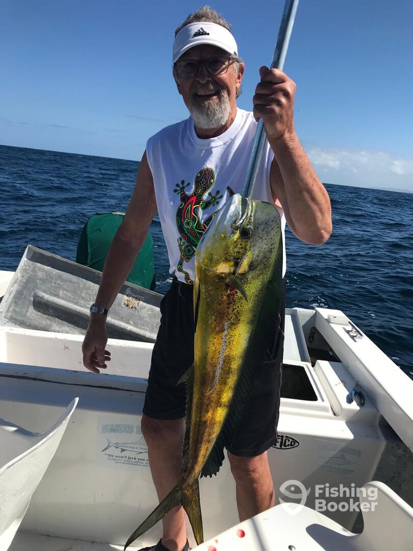 Puerto Vallarta Report Photo 0