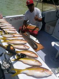 Seasons Catch