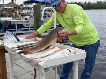 Homosassa Report Photo 2