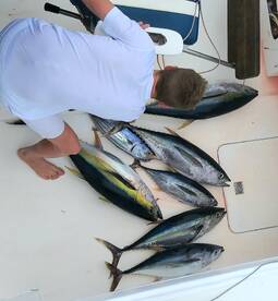 Le Morne Report Photo 1