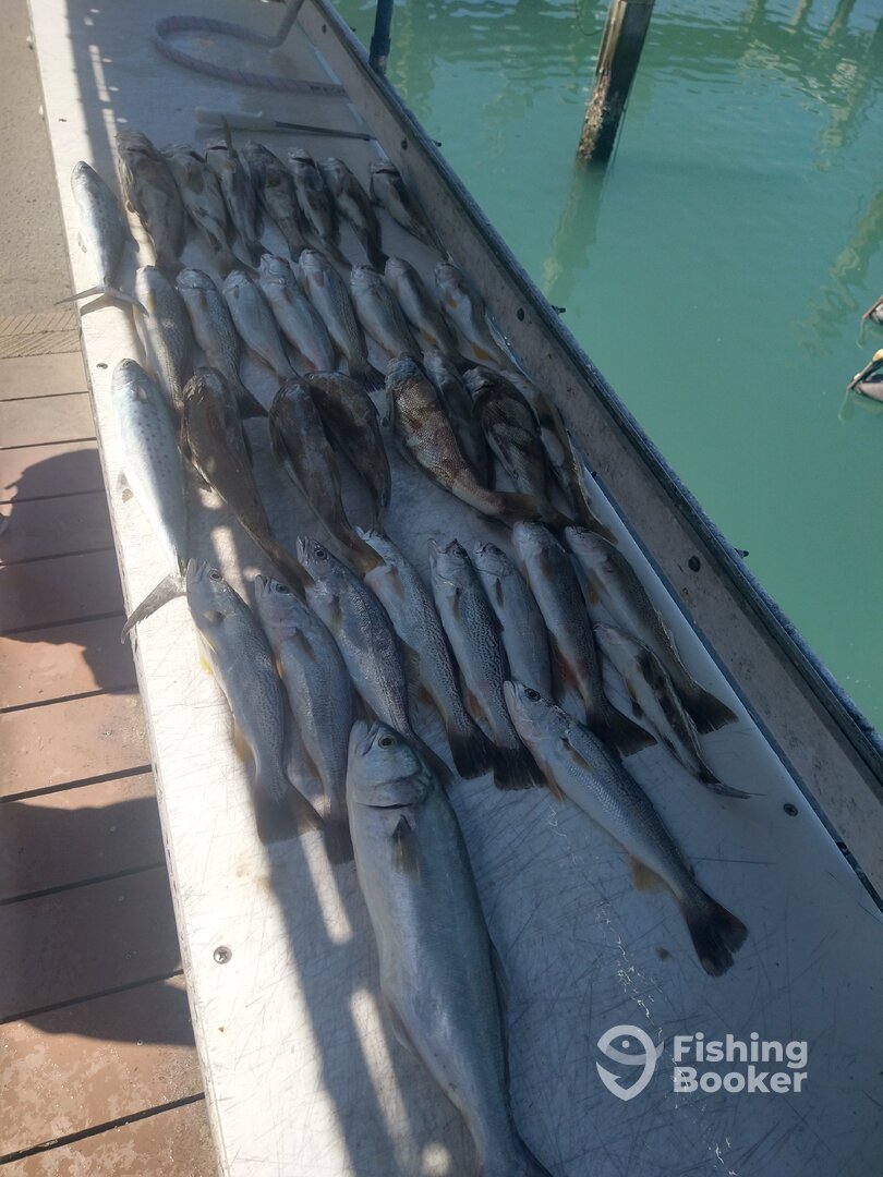 Port Canaveral Report Photo 0