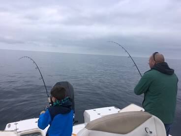 Catalina!
