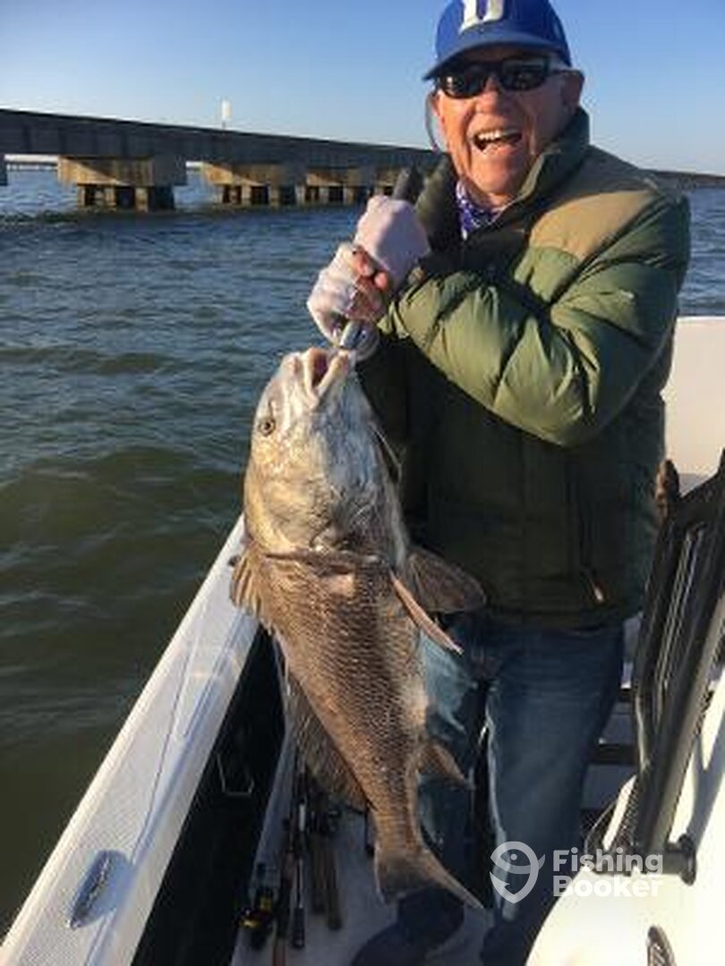 30 Lb. Black Drum