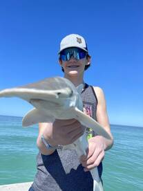 Longboat Key Report Photo 1
