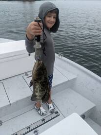 First gag grouper