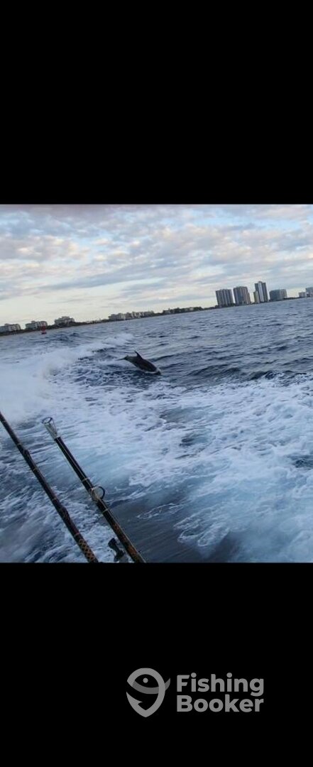 Boynton Beach Report Photo 0