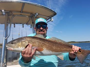Big redfish