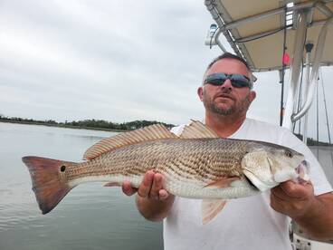 More creek redfish