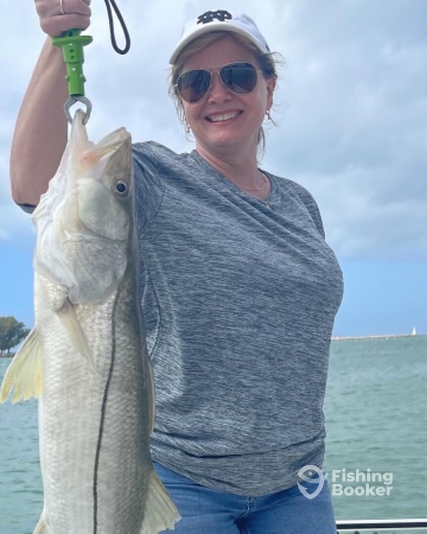 Clearwater Report Photo 0