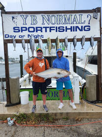Dania Beach Report Photo 1