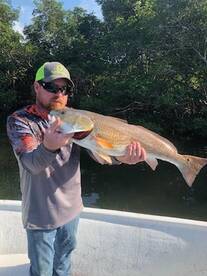 Stud redfish