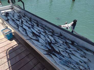 Port Canaveral Report Photo 2