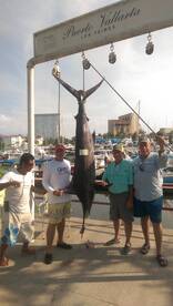Puerto Vallarta Report Photo 1
