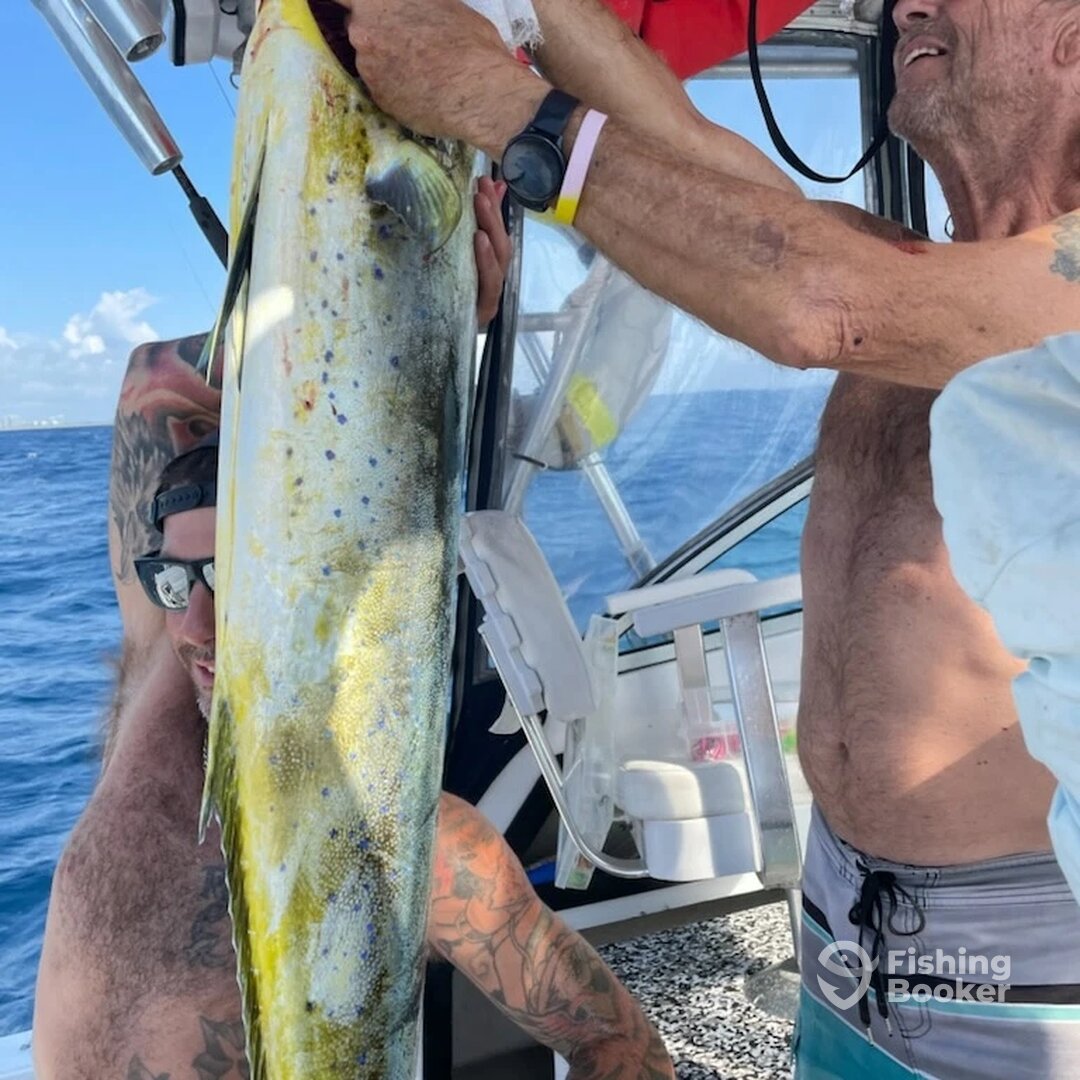 West Palm Beach Report Photo 0