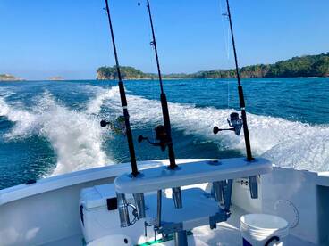 Quepos Report Photo 1