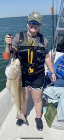 Galveston Report Photo 1