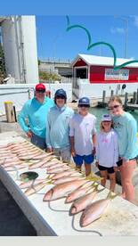 Yellowtails