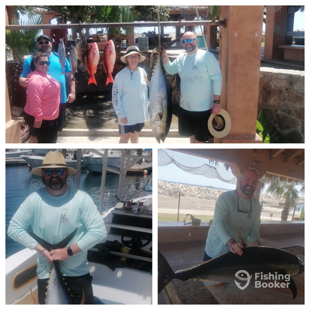 San Jose del Cabo Report Photo 0