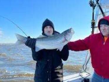 Raritan bay striped bass 