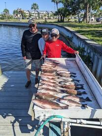 Healthy limit of mangrove snapper
