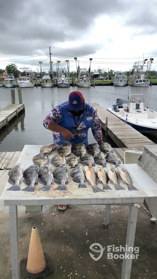 Lafitte Report Photo 0