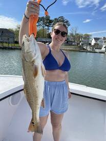 Virginia Beach Report Photo 1