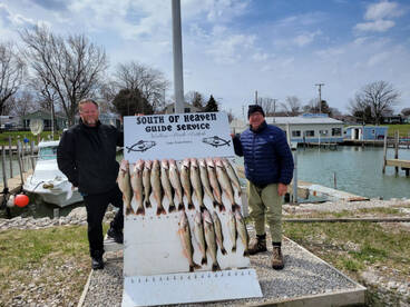 Beautiful board  of walleye 