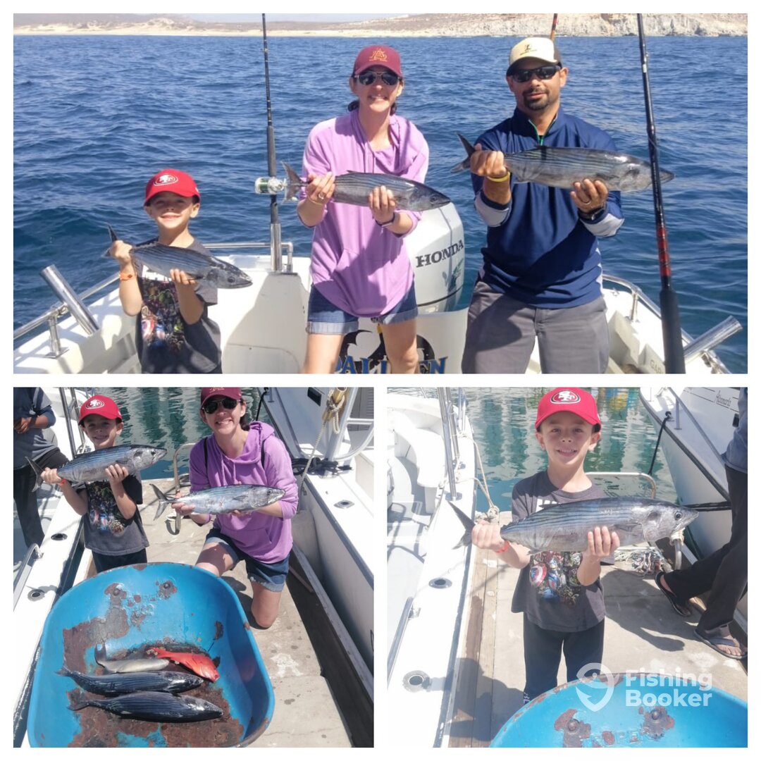 San Jose del Cabo Report Photo 0