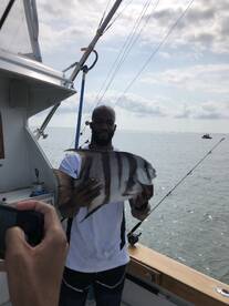 Cobia and Spade fish season is approachi