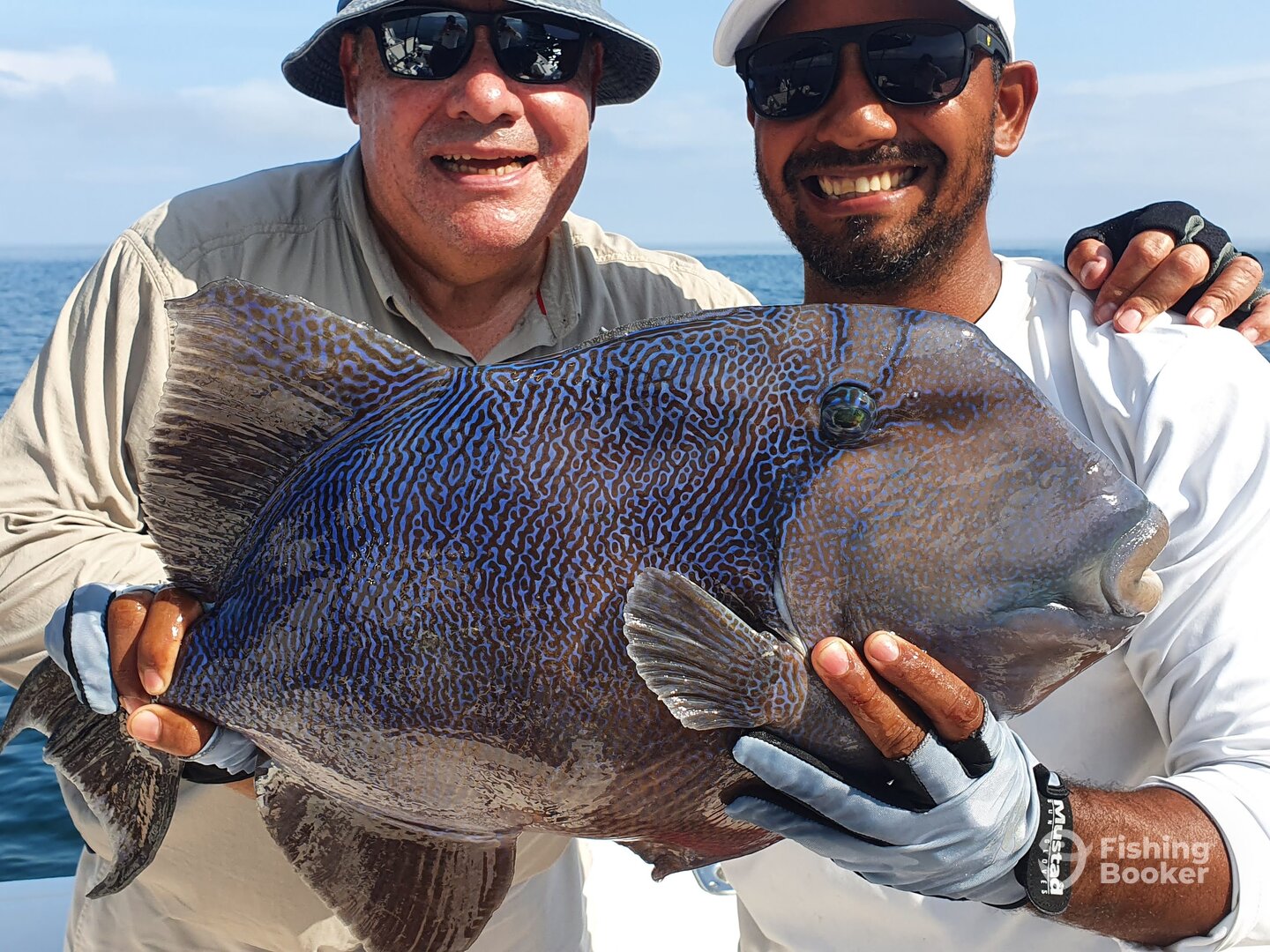Panama City Report Photo 0