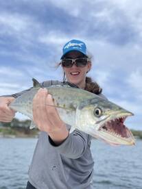 Spanish Mackerel Madness!