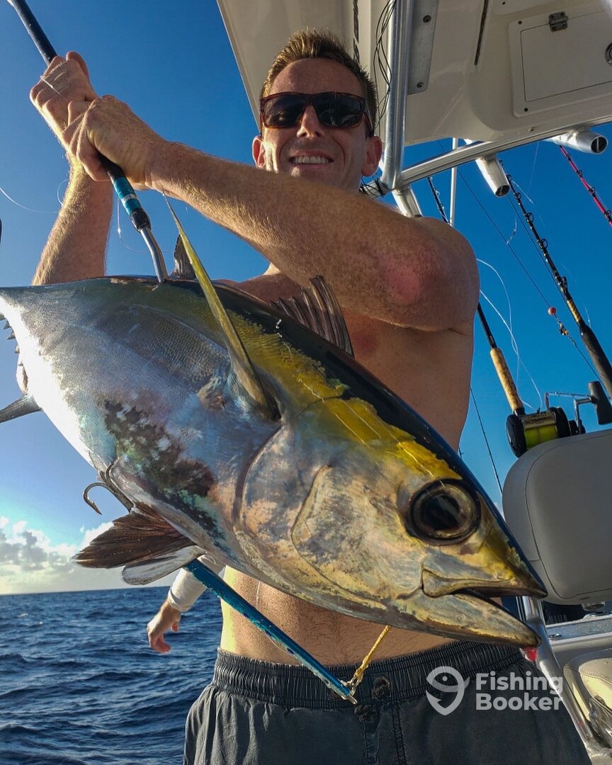 Humacao Report Photo 0
