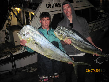 Sydney Report Photo 2