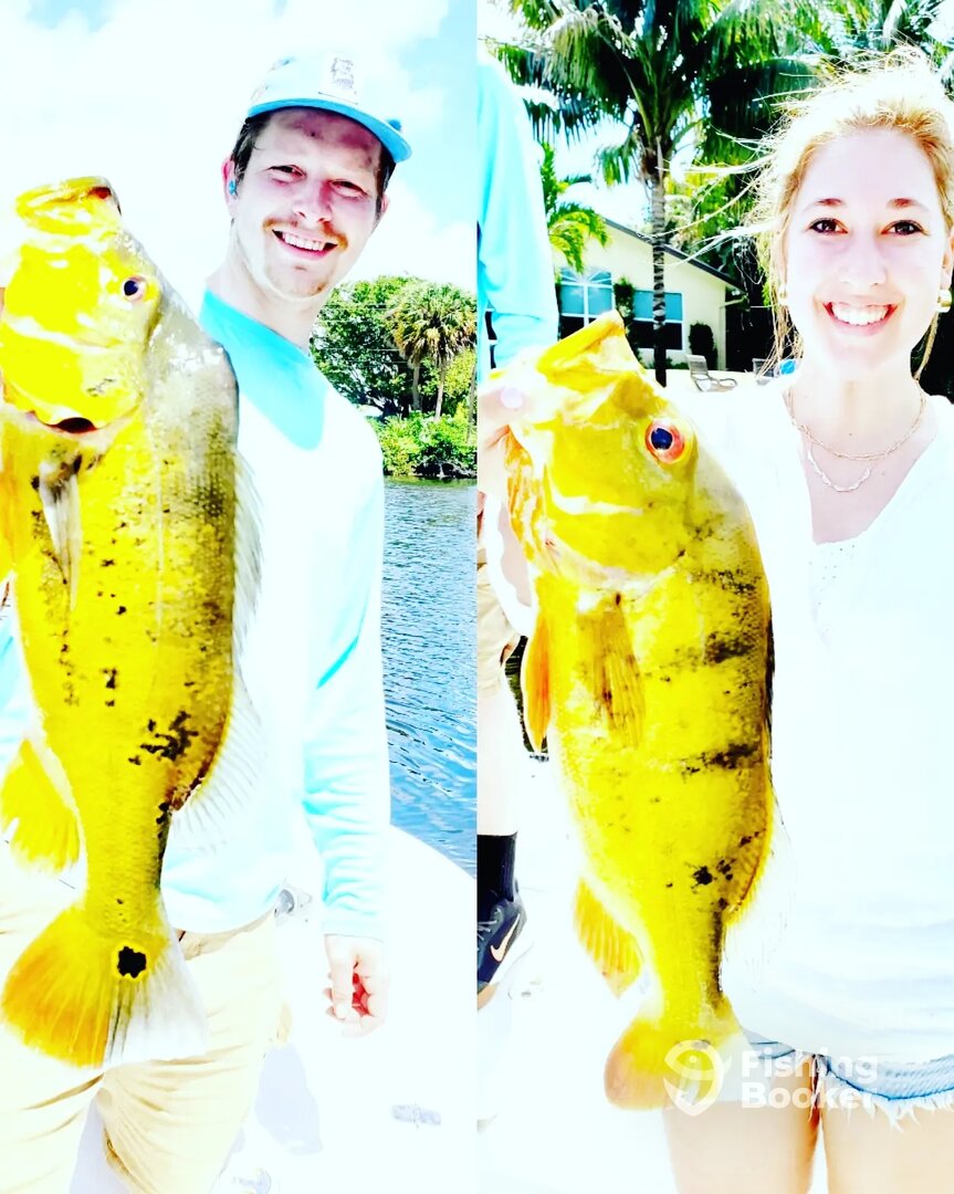Delray Beach Report Photo 0