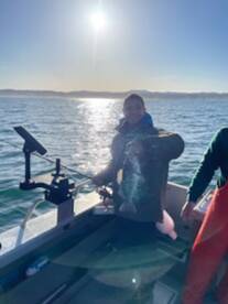 Garibaldi Report Photo 1