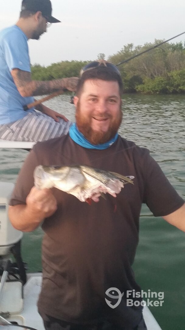 Shark eaten!