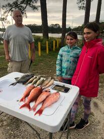 Fat Vermillion snappers