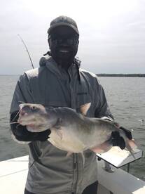 Chesapeake Beach Report Photo 2