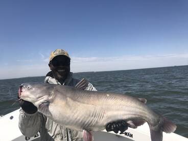 Chesapeake Beach Report Photo 1
