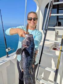 Black Seabass Season Opens Soon