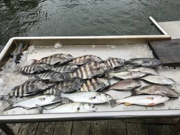 Emerald Isle Report Photo 2