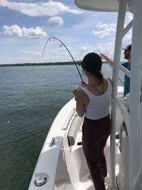 Here they come!..check out the migration