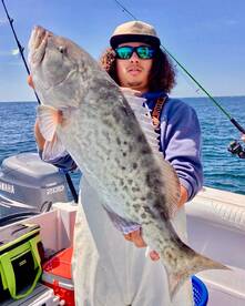 Shalimar Report Photo 1