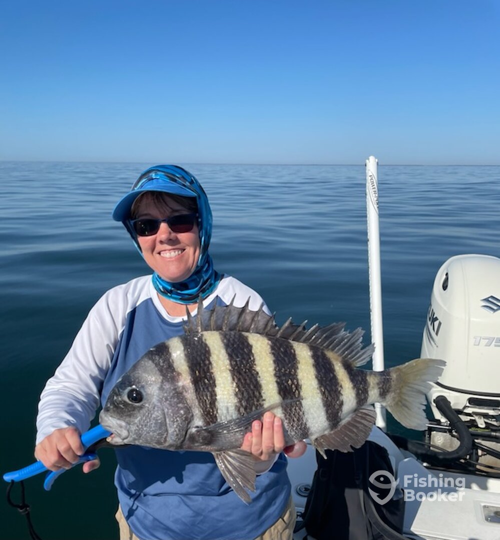 Jekyll Island Report Photo 0