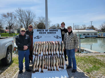 Mother Erie gave up a nice mess today 