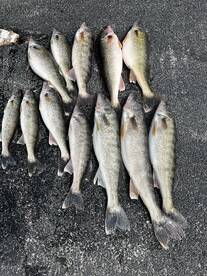 Port Clinton Report Photo 2