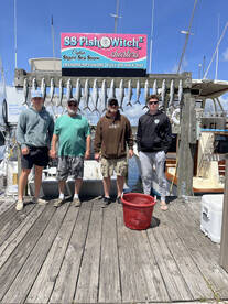 Big Spanish Mackerel